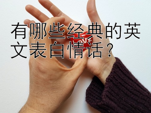 有哪些经典的英文表白情话？