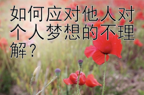 如何应对他人对个人梦想的不理解？