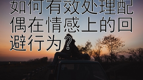 如何有效处理配偶在情感上的回避行为？