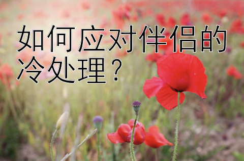 如何应对伴侣的冷处理？