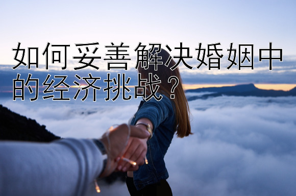 如何妥善解决婚姻中的经济挑战？