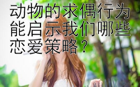 动物的求偶行为能启示我们哪些恋爱策略？