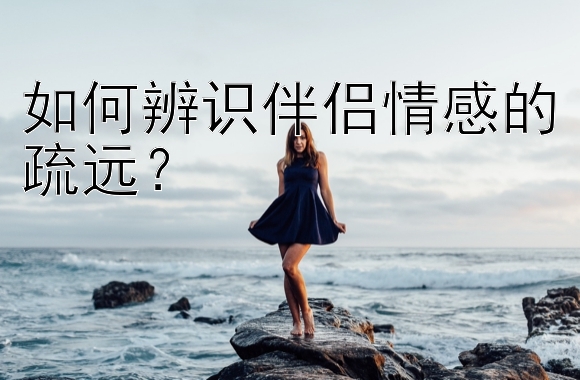 如何辨识伴侣情感的疏远？