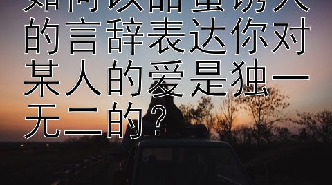 如何以甜蜜诱人的言辞表达你对某人的爱是独一无二的？