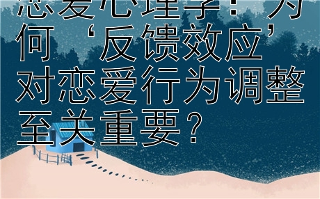 恋爱心理学：为何‘反馈效应’对恋爱行为调整至关重要？