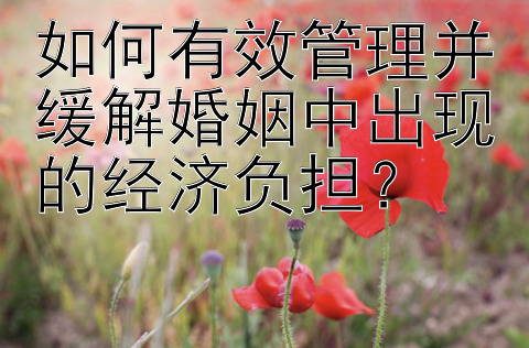 如何有效管理并缓解婚姻中出现的经济负担？