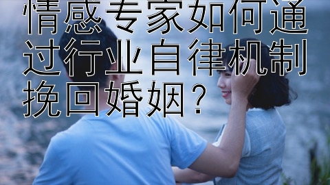 情感专家如何通过行业自律机制挽回婚姻？