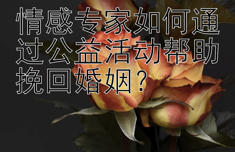 情感专家如何通过公益活动帮助挽回婚姻？