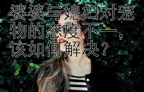 婆婆与媳妇对宠物的态度不一，该如何解决？