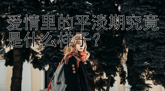 爱情里的平淡期究竟是什么样子？